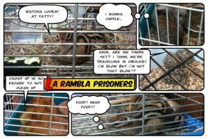 Barcelona La Rambla 1