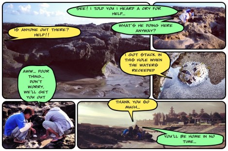 Puffer Fish Happy Ending