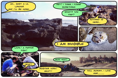 Puffer Fish Sad Ending